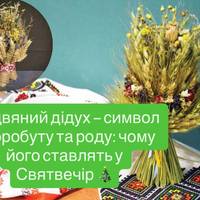 Різдвяний дідух — символ добробуту та роду: чому його ставлять у Святвечір 🎄