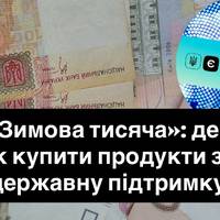 «Зимова тисяча»: де і як купити продукти за державну підтримку