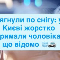 Тягнули по снігу: у Києві жорстко затримали чоловіка — що відомо