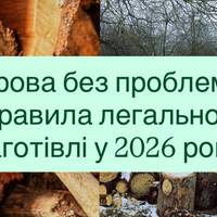 Дрова без проблем: правила легальної заготівлі у 2026 році