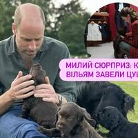 Королівське поповнення: у родині принца й принцеси Уельських з’явився песик