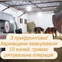 З прифронтової Харківщини евакуювали 19 коней: триває рятувальна операція