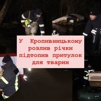 У  Кропивницькому розлив річки підтопив притулок для тварин