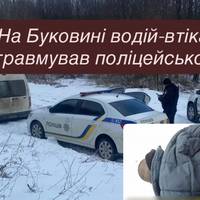 На Буковині водій-втікач травмував поліцейського: стріляли по колесу, затримали після погоні