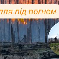 Довкілля під вогнем: як війна знищує українські ліси, степи та заповідники