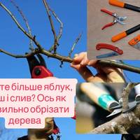 Як обрізати дерева, щоб вони «вибухнули» урожаєм: головні помилки та секрети