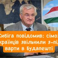 Сибіга: Україна повернула додому сімох громадян, яких утримували в Угорщині