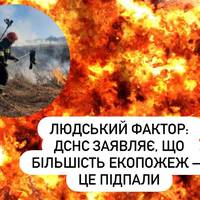 Підпали домінують: ДСНС назвала головну причину пожеж в екосистемах