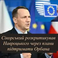 Сікорський розкритикував Навроцького через плани підтримати Орбана