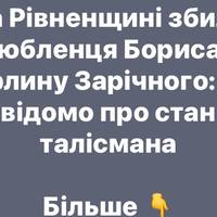 Зірку Полісся оленя Бориса збило авто: водійку розшукали, тварина поранена