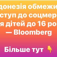 Індонезія обмежила доступ до соцмереж для дітей до 16 років — Bloomberg
