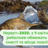 Нерест-2026: з 1 квітня рибалкам обмежать снасті та місця ловлі