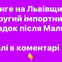 На Львівщині — другий випадок гарячки Денге після поїздки на Мальдіви