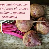 Чим корисний буряк для здоров’я і кому він може нашкодити: правила вживання