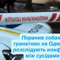 Поранив собаку гранатою: на Одещині розслідують конфлікт між сусідами