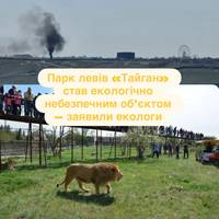 Парк левів «Тайган» став екологічно небезпечним об’єктом — заявили екологи