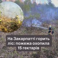 На Закарпатті горить ліс: пожежа охопила 15 гектарів