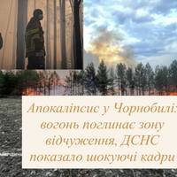 Апокаліпсис у Чорнобилі: вогонь поглинає зону відчуження, ДСНС показало шокуючі кадри