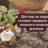 Догляд за садом: головні правила для кожного власника ділянки