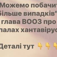 “Можемо побачити більше випадків”: глава ВООЗ про спалах хантавірусу