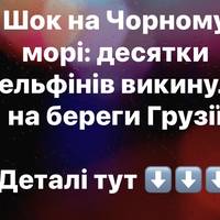 Десятки дельфінів викинулися на узбережжя Грузії за останні два місяці