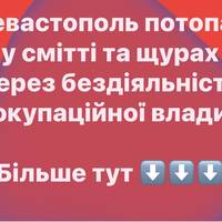 Севастополь потопає у смітті та щурах через бездіяльність окупаційної влади