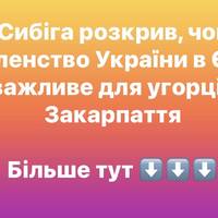 Сибіга розкрив, чому членство України в ЄС важливе для угорців Закарпаття