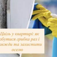 Цвіль у квартирі: як позбутися грибка раз і назавжди та захистити оселю