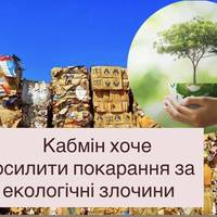 Кабмін хоче посилити покарання за екологічні злочини