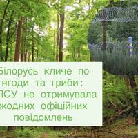 Білорусь кличе по ягоди та гриби: ДПСУ не отримувала жодних офіційних повідомлень
