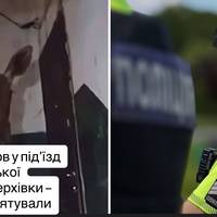 Лось зайшов у під’їзд київської багатоповерхівки — тварину врятували