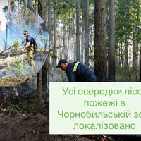 Усі осередки лісової пожежі в Чорнобильській зоні локалізовано