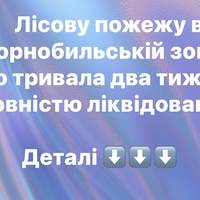 Лісову пожежу в Чорнобильській зоні, що тривала два тижні, повністю ліквідовано