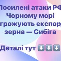 Посилені атаки РФ у Чорному морі загрожують експорту зерна — Сибіга