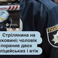 Стрілянина на Буковині: чоловік поранив двох поліцейських і втік