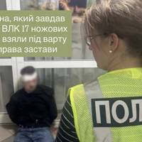Киянина, який завдав лікарці ВЛК 17 ножових ударів, взяли під варту без права застави