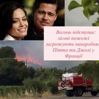 Вогонь підступає: лісові пожежі загрожують виноробням Пітта та Джолі у Франції