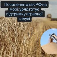 Посилення атак РФ на морі: уряд готує підтримку аграрної галузі