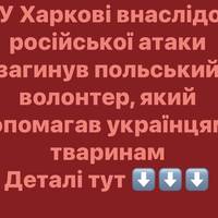 У Харкові внаслідок російської атаки загинув польський волонтер, який допомагав українцям і тваринам