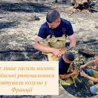 Не лише гасили вогонь: українські рятувальники врятували козулю у Франції