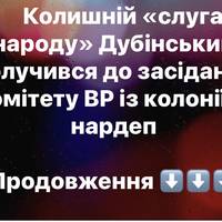 Колишній «слуга народу» Дубінський долучився до засідання комітету ВР із колонії — нардеп