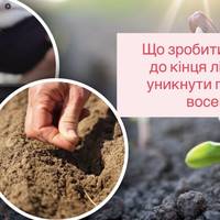 Що зробити на городі до кінця літа, щоб уникнути проблем восени